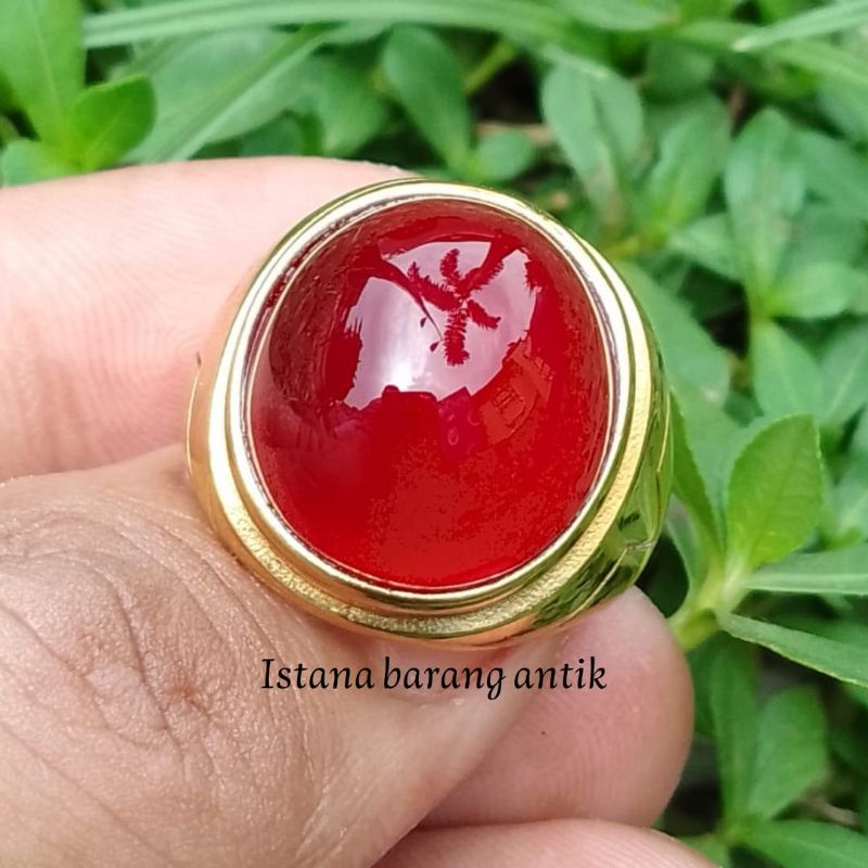 (BAYAR DI TEMPAT) BATU AKIK CEMPAKA MERAH /RED BARON ASLI ORIGINAL