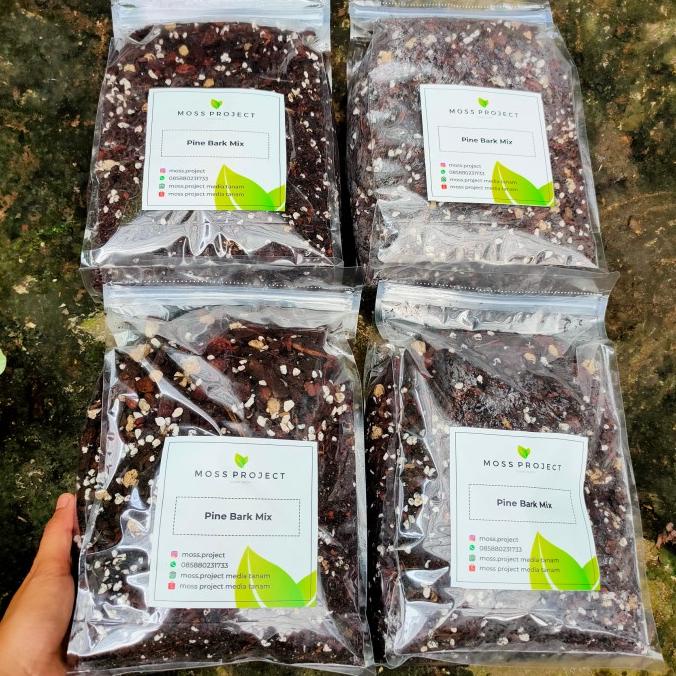 

[COD] PROMO PINE BARK MIX BELI 3 dapat 4 [COD]