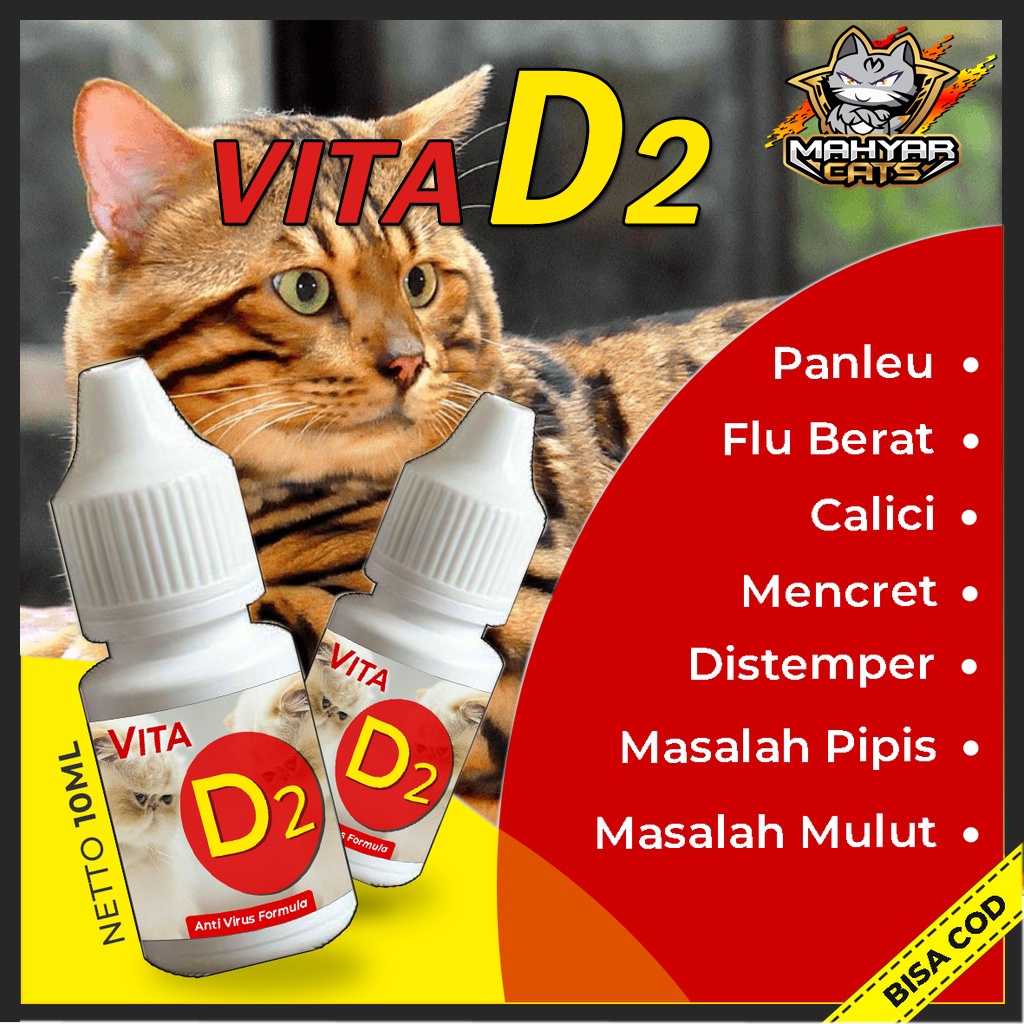 Obat Kucing Vita D2 Obat Virus Kucing Flu Berat Panleu Calici Distemper Mencret Pipis Darah Sariawan Lemes Muntah Bakteri Bersin by Clever Solutions Olive Care Babah Cat House Koinami Uky Cat Red