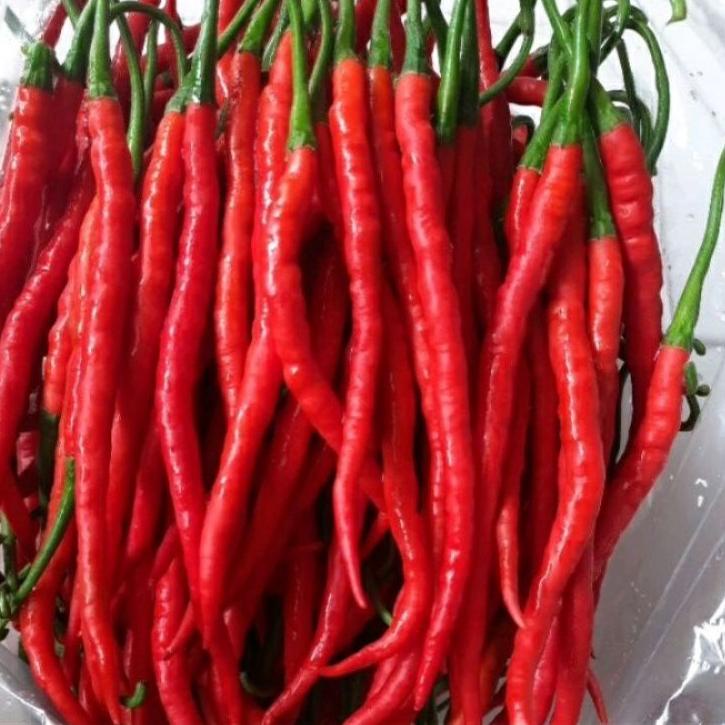 

Ekslusif disini--cabe keriting,cabe merah keriting 200gram