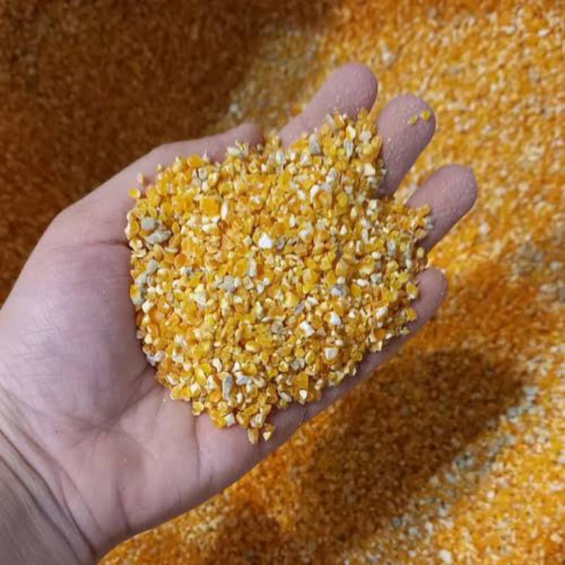 

Jagung giling kualitas super kemasan 500gram