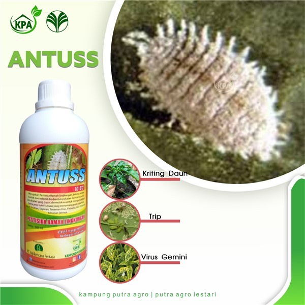New Pestisida Organik Pembasmi Kutu Kebul Kutu Apis pada tanaman - Antuss &w;