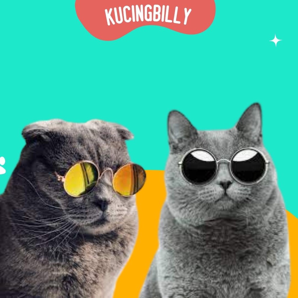 Kacamata sunglass keren kucing anjing