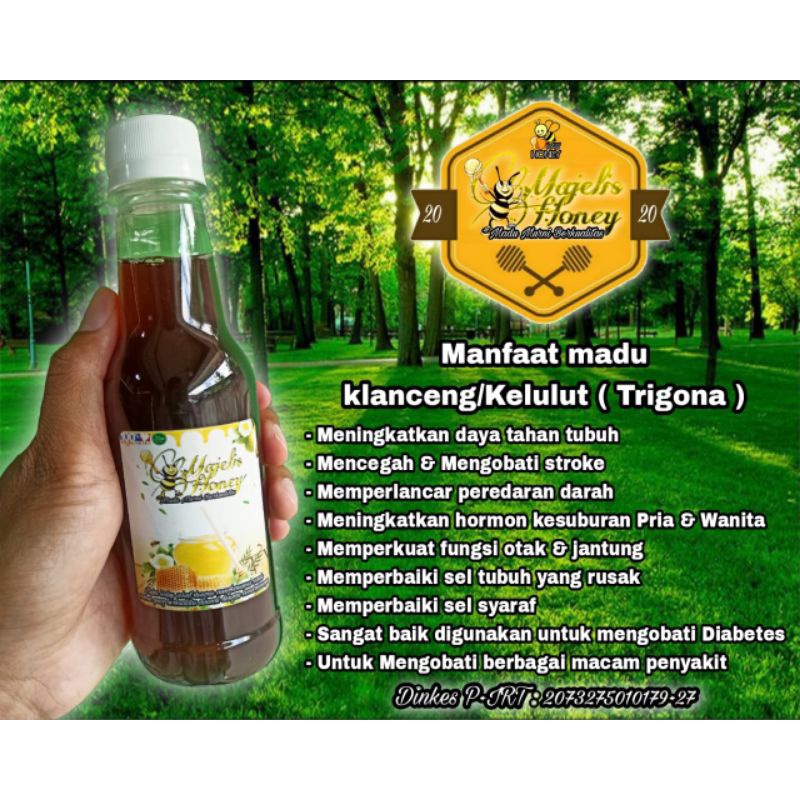 

Majelis Honey Madu Klanceng/Kelulut (Trigona)