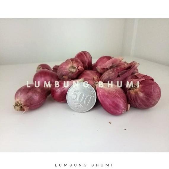 

best seller] Bawang Merah Besar 500 Gr -