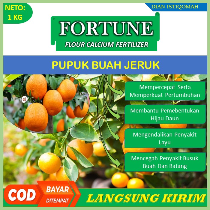 ( Promo ) Pupuk Kalsium FORTUNE 1 KG - Obat Busuk Buah Jeruk - Obat Anti Hama Buah Jeruk - Obat Ront