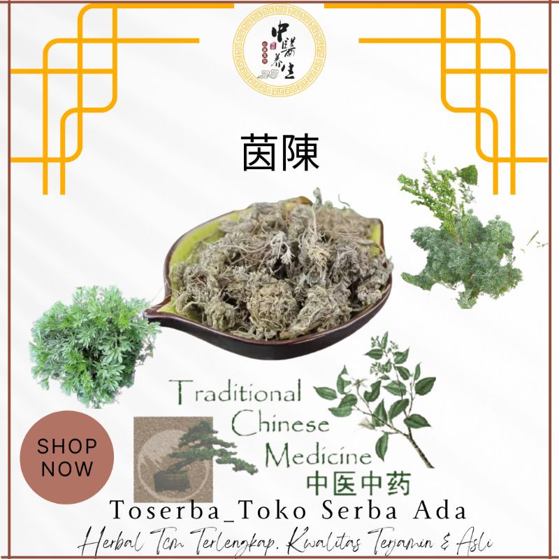 

100gr Herbal Mian Yin Chen 绵茵陳 Mosquito Wormwood Herba Artemisiae Scopariae Artemisia Capillaris Premium Grade