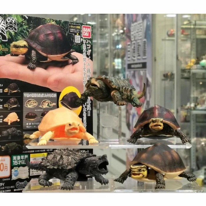 Mudah Gashapon Tortoise 04 Box Turtle Gilaa