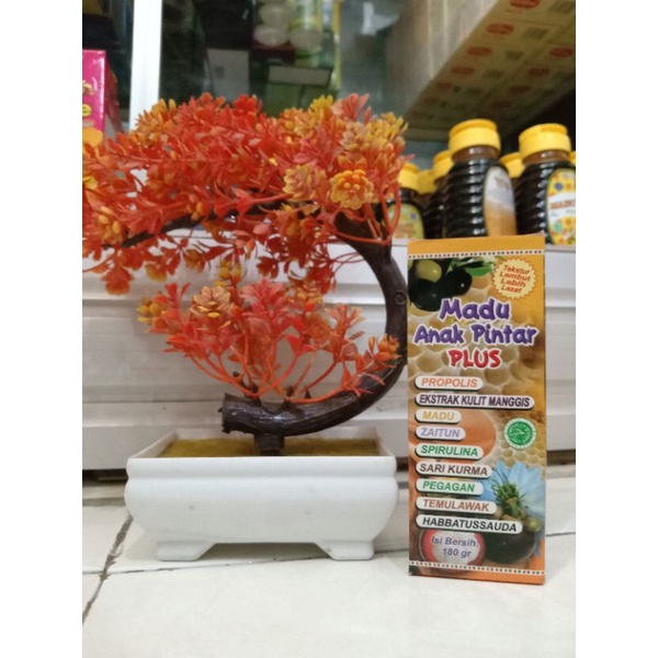 

Madu anak pintar plus propolis