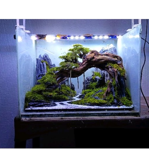 hardscape aquascape