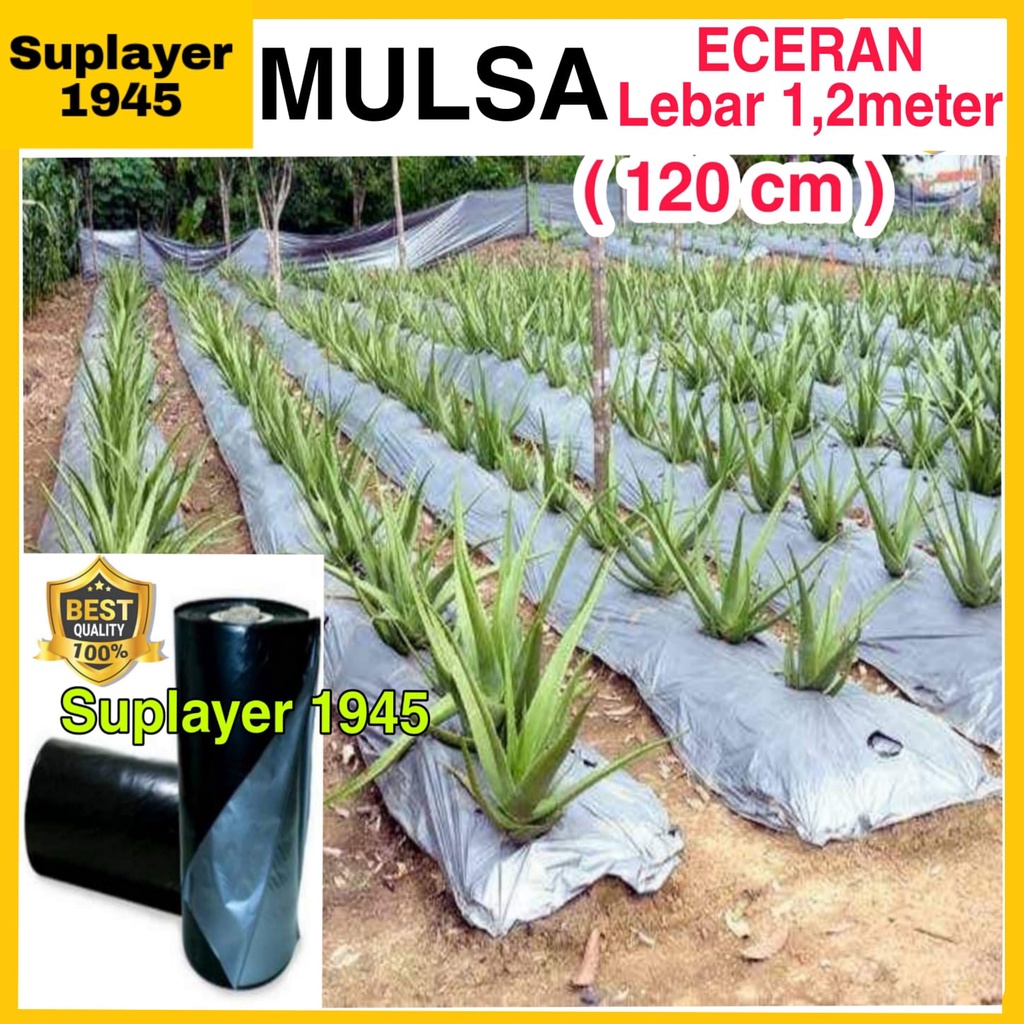 Plastik Mulsa hitam/perak ( Eceran )