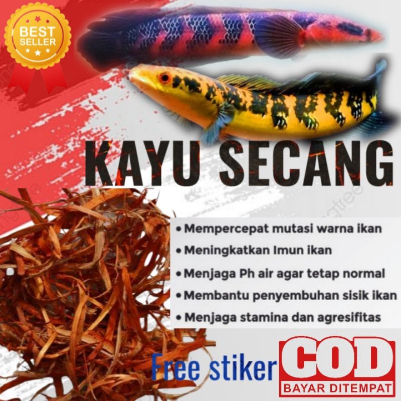 

kayu secang siap pakai/kayu secang progres channa/kayu secang super merah/kayu secang serbaguna/kayu secang obat herbal alami