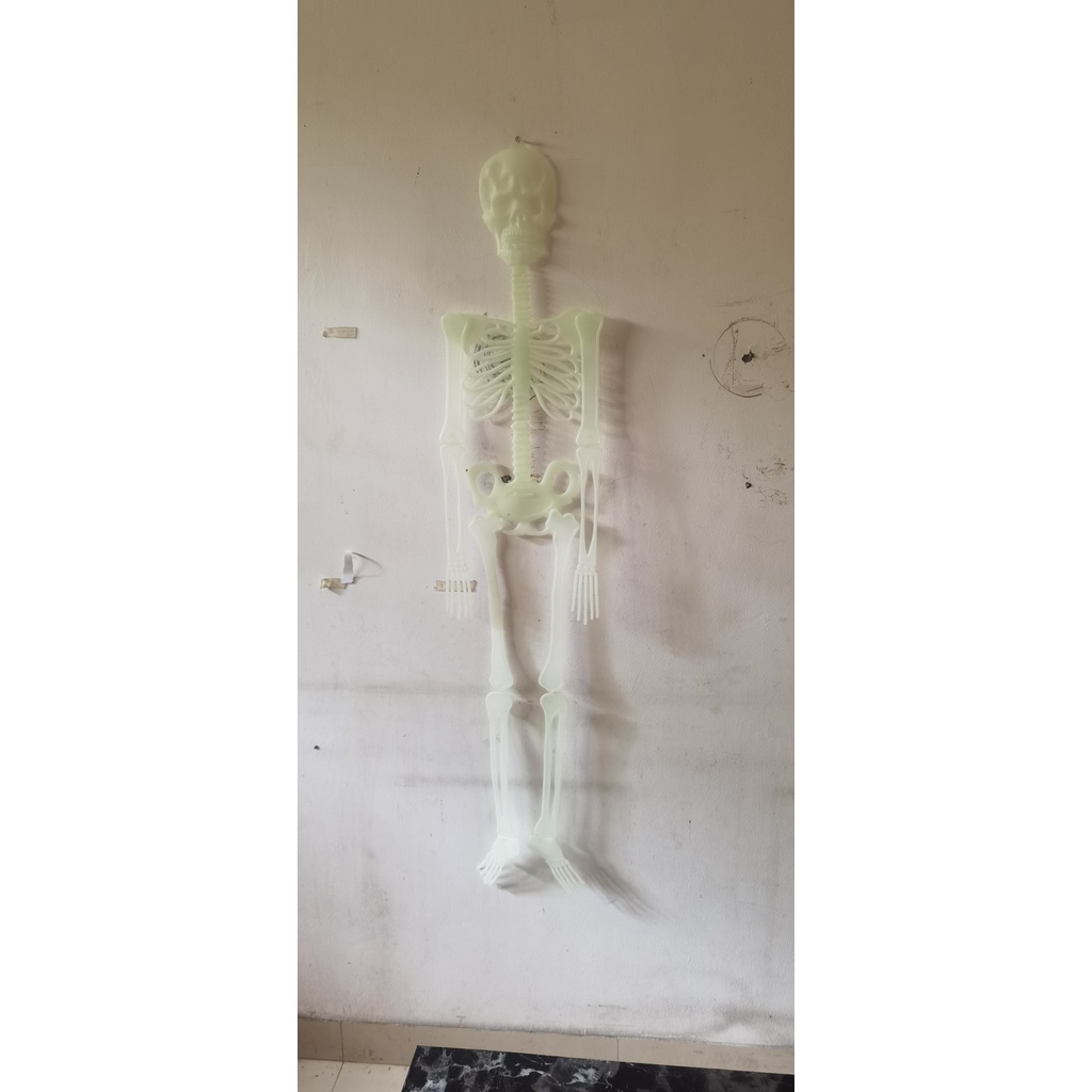 Pajangan Tengkorak Manusia glow in the dark tinggi +/- 150cm. Dekorasi Halloween/ halowin/ haloween. Nyala dalam gelap. / Halloween Skeleton Glow in the dark / Dekorasi Tengkorak