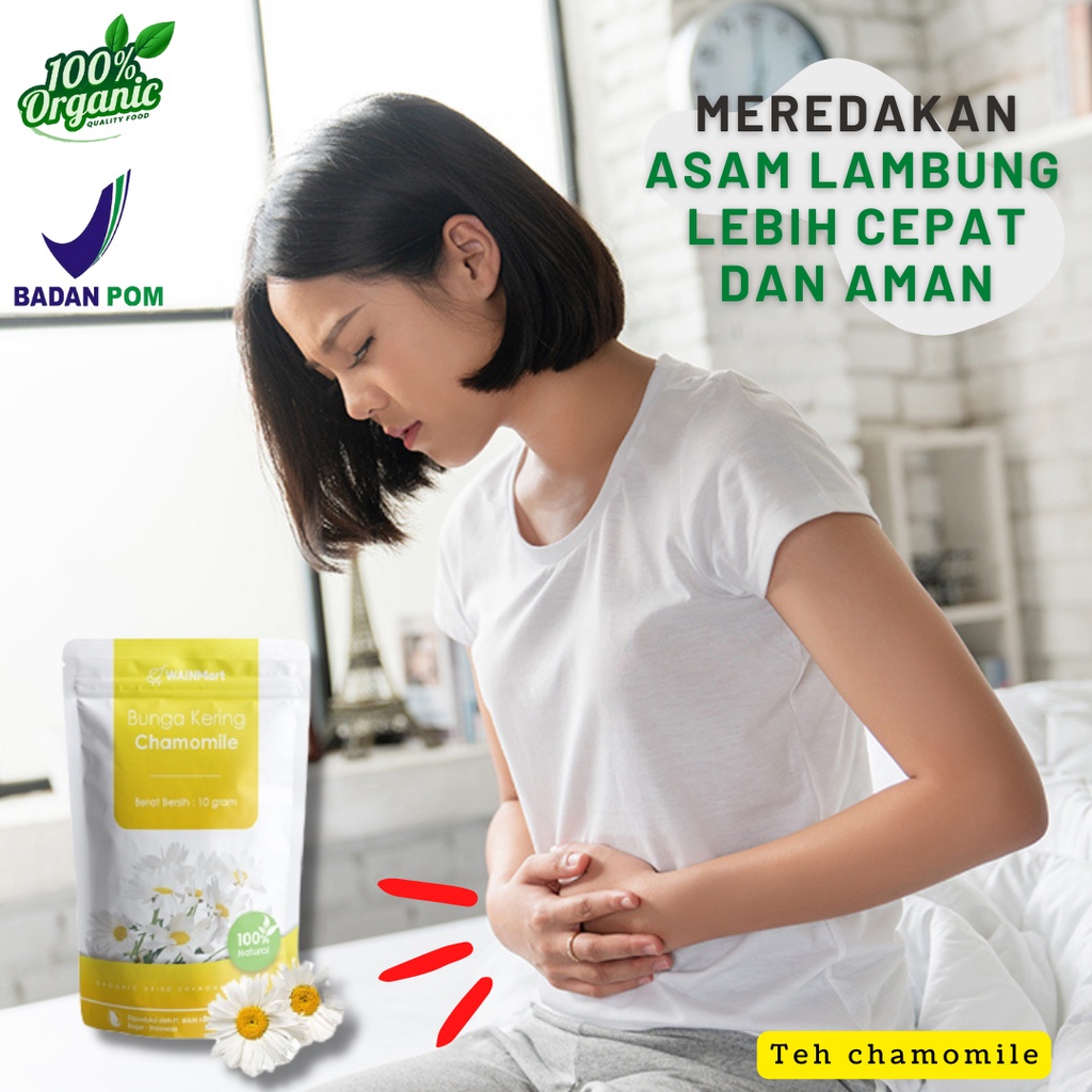 

Teh Celup Chamomile Herbal Obat tradisional minuman Berkasiat