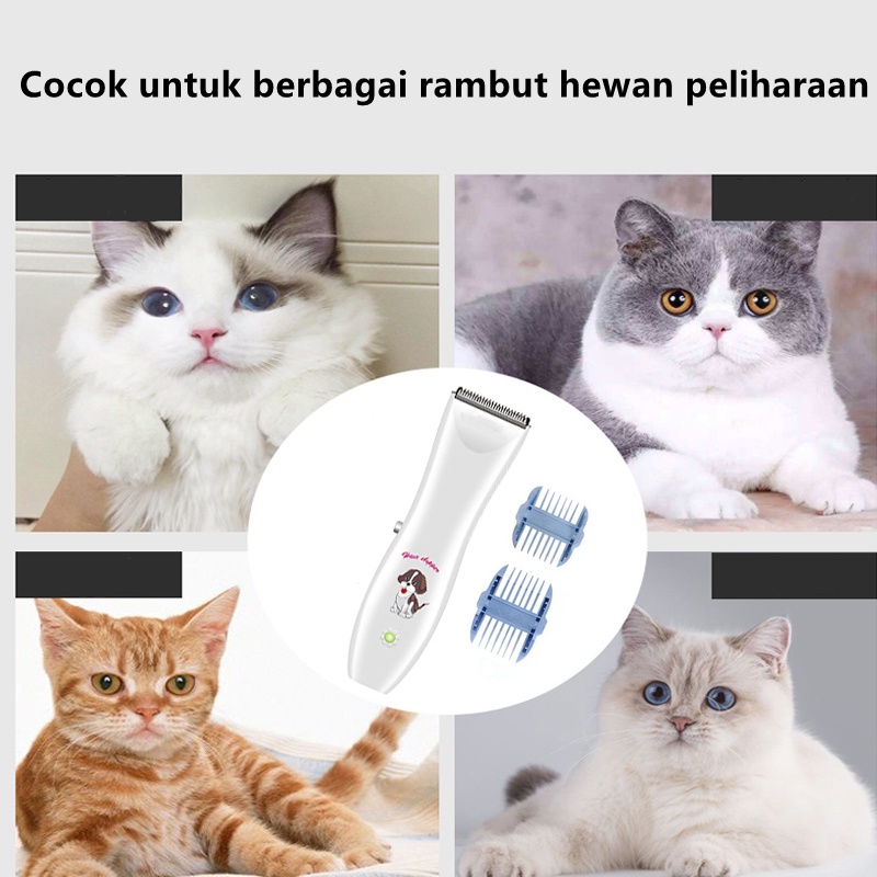 Pet Clipper/Pencukur Bulu Kucing/Alat Cukur Bulu Kucing/ kemei Pemotong Rambut Hewan Peliharaan Pet Hair Clipper