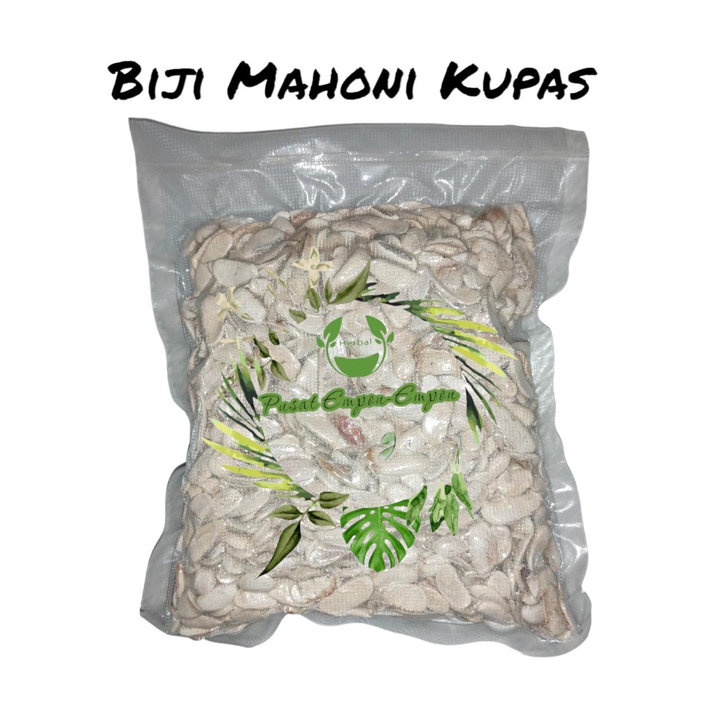 Biji mahoni kering kupas 500 gram biji mahoni kupas