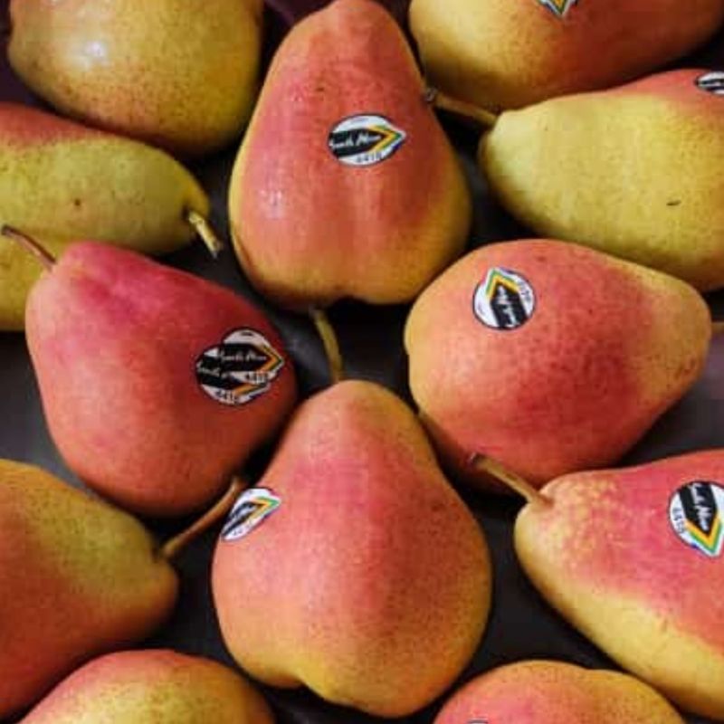 

Buah Pir Forella / Forelle Pear Manis Segar