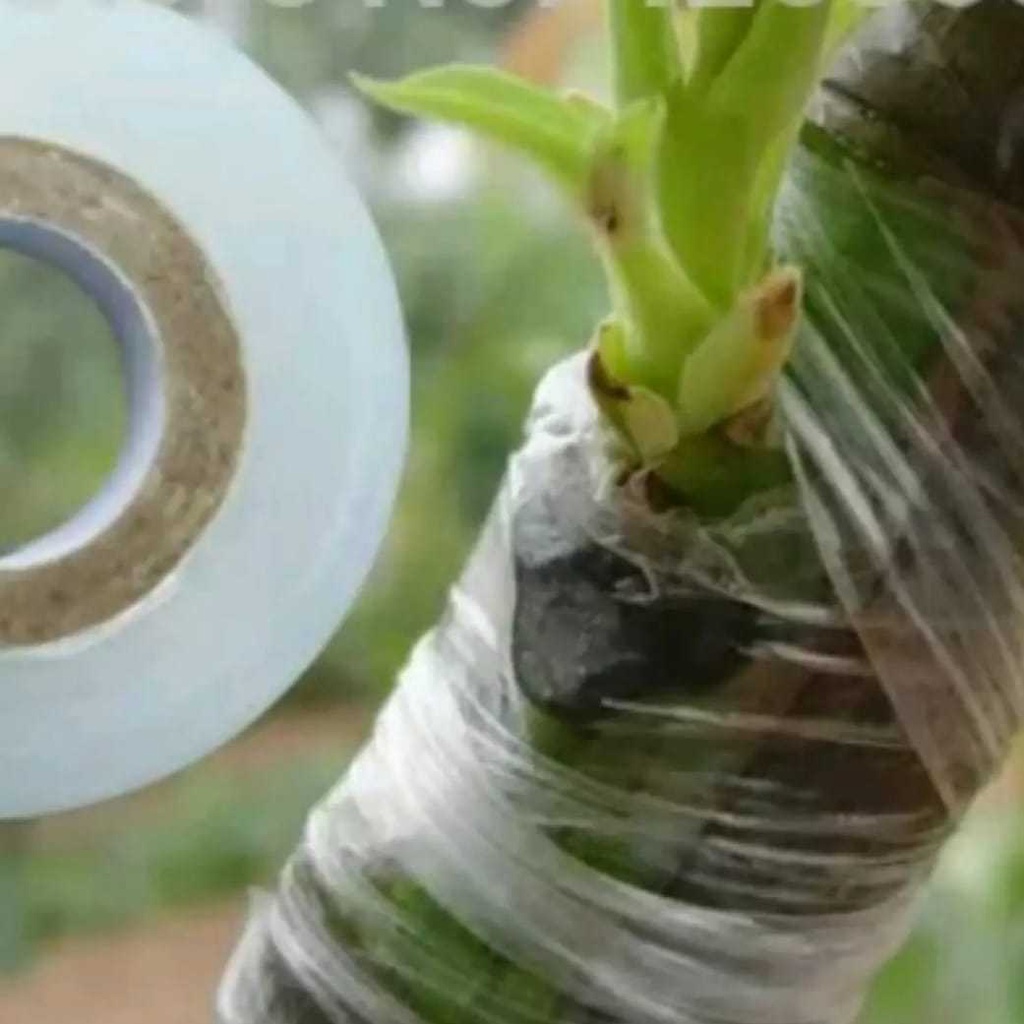 Alat Okulasi Tanaman Grafting Tape Peralatan Cangkok Tanaman Plastik Okulasi &amp; Pisau Okulasi Tanaman