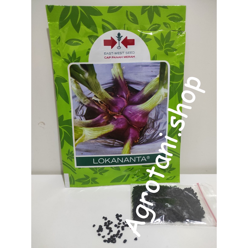 Jual Benih Bawang Merah Lokananta Kemasan Repack | Shopee Indonesia