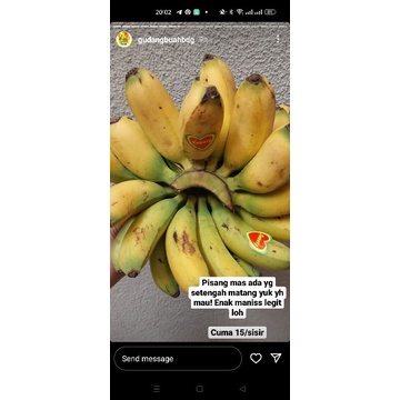 Buah Pisang Mas Sunpride