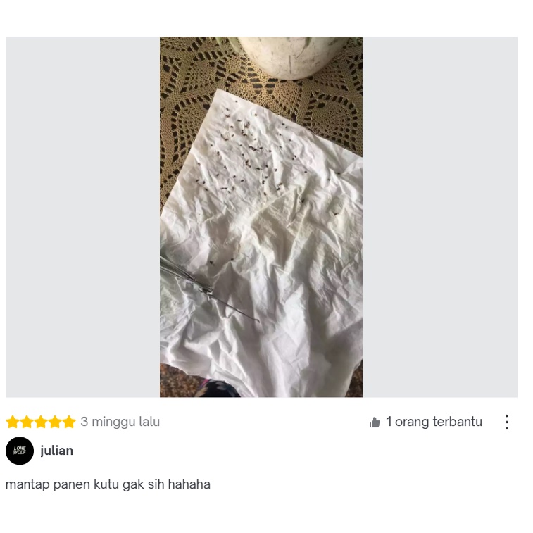 RACOON Obat Kutu Hewan Anjing &amp; Kucing Bahan Alami / Flea Remover