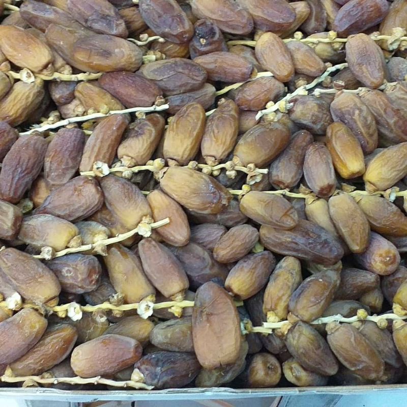 

kurma tunisia tangkai /kurma batang 1kg premium murah original