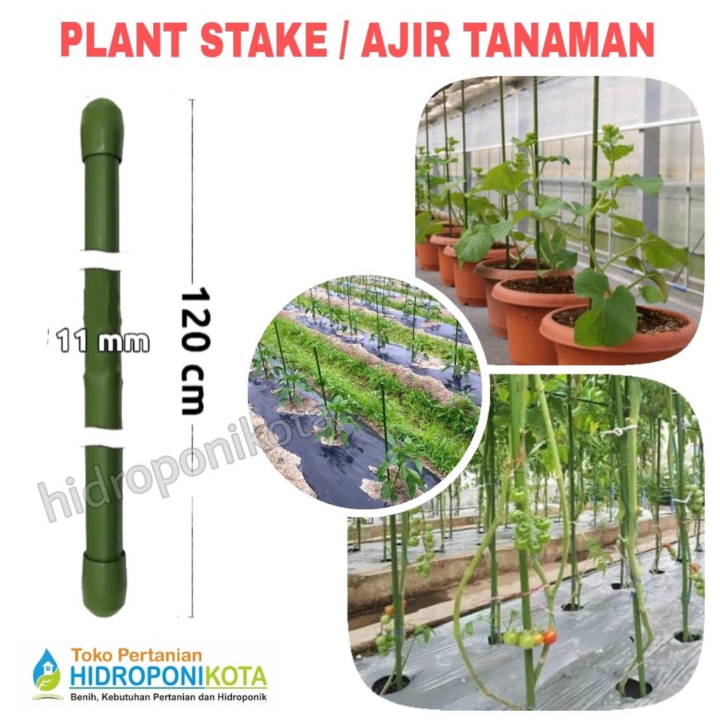 AJIR LURUS 11 mm X 120 cm - plant stake - penyangga tanaman