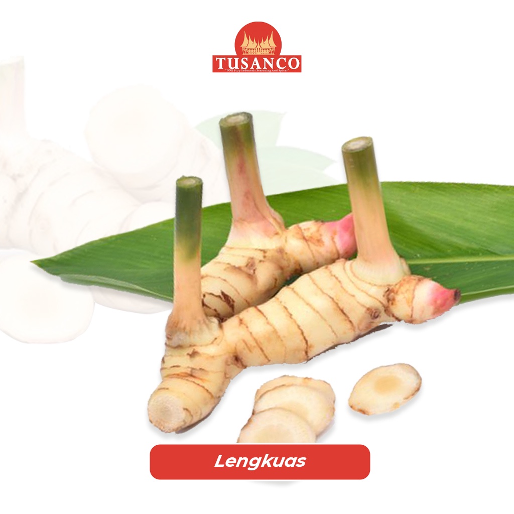 

Lengkuas Tusanco 1 KG