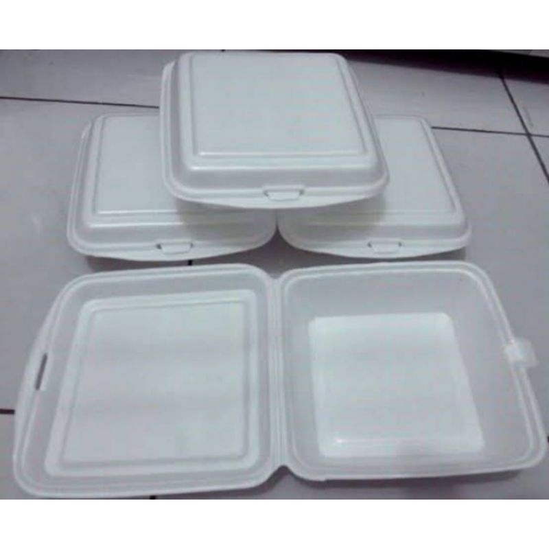 Sterofoam Nasi Kotak