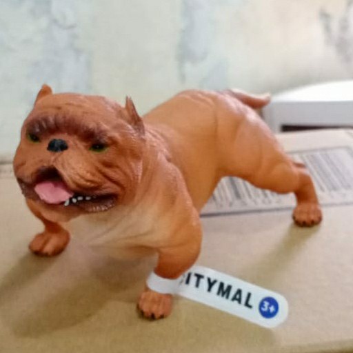 Murah City Dog American Bully Pitbull 00674 Bagus