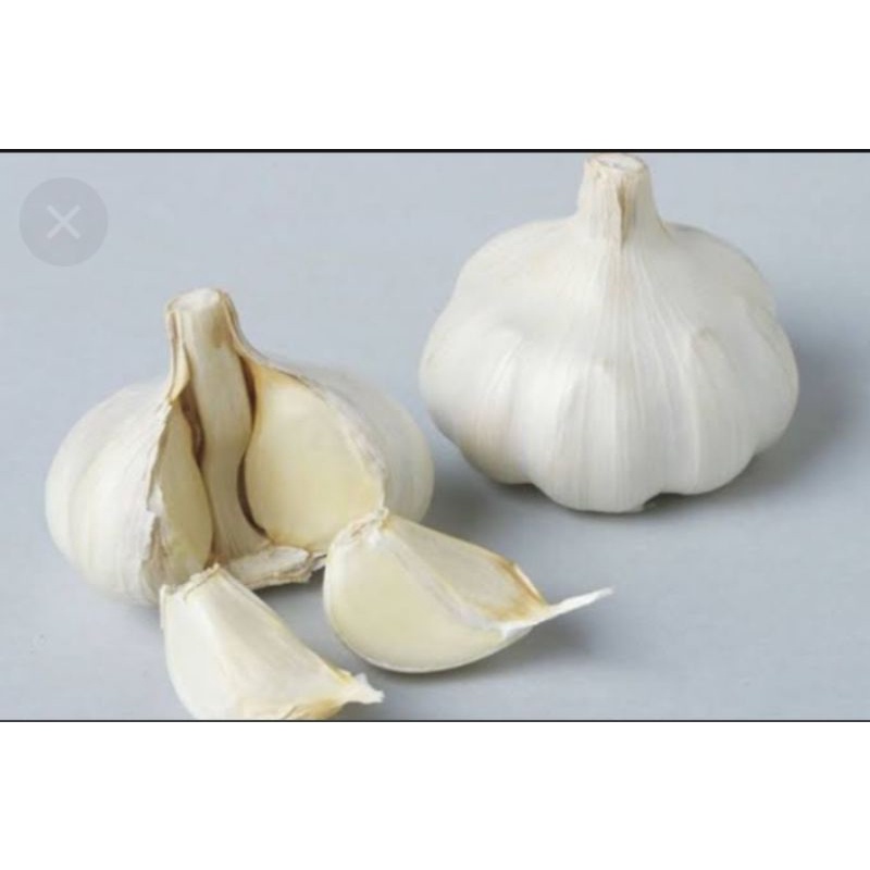 

Bawang putih murah dan bersih