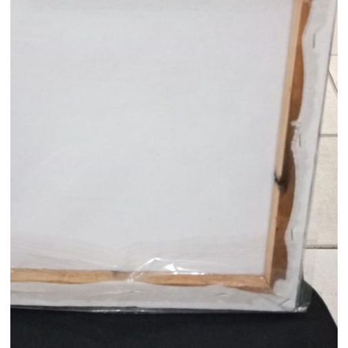 

Kanvas Lukis Phinis 30x30