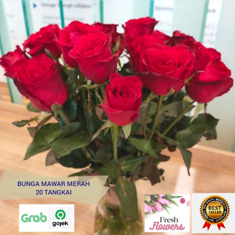 bunga mawar merah 20 tangkai red rose bunga potong