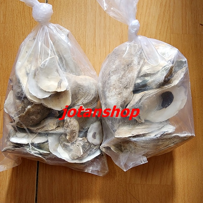 Cangkang Kulit Kerang Tiram Oyster Shell Media Filter Kolam ikan Koi 500gr