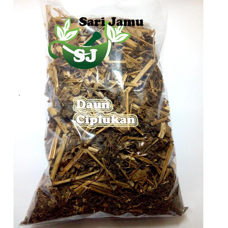 

Termurah Jamu Herbal Tradisional Tanaman Daun Ciplukan 500 gr !!