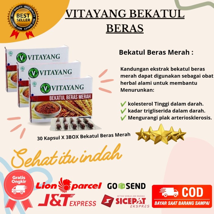 

Vitayang Bekatul Beras Merah 3Box Hemat | Anti Kolestrol Tinggi