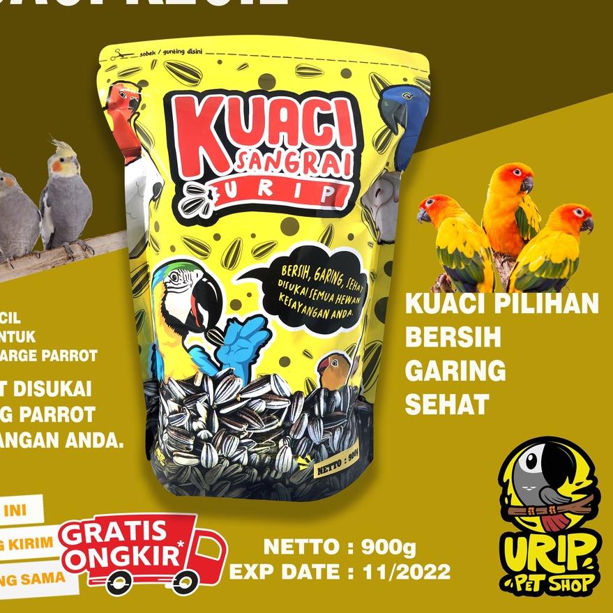 

10.10 MALL KWACI SANGRAI URIP KECIL UNTUK SUNCONURE, LOVEBORD, PARKIT DLL !!!
