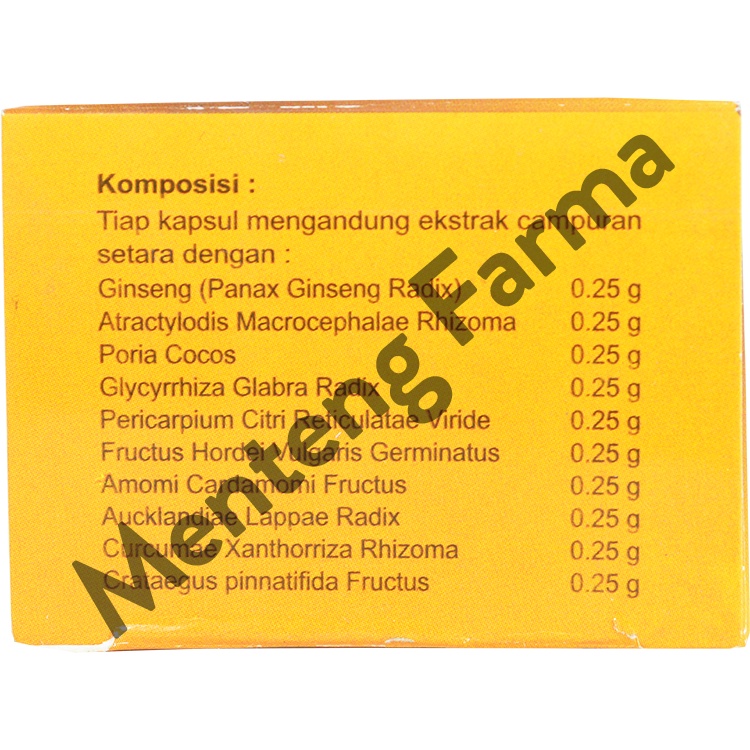 Ginseng Kianpi Pu Wan (Delpi) - Suplemen Penambah Berat Badan