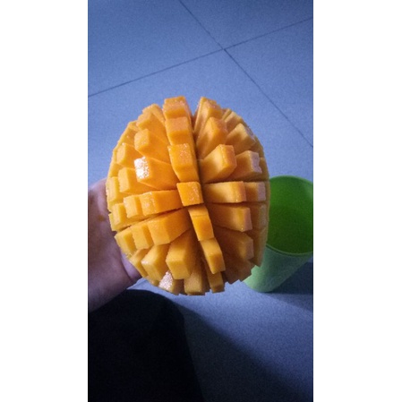 

mango