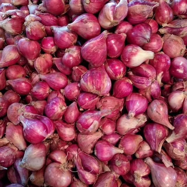 

Bisa COD Bawang Merah Brebes Campur 1kg 