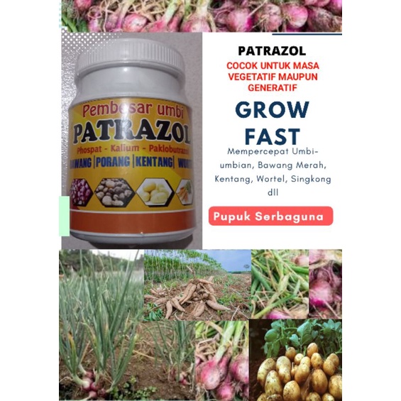 Pupuk Bawang Merah Pembesar Umbi PATRAZOL