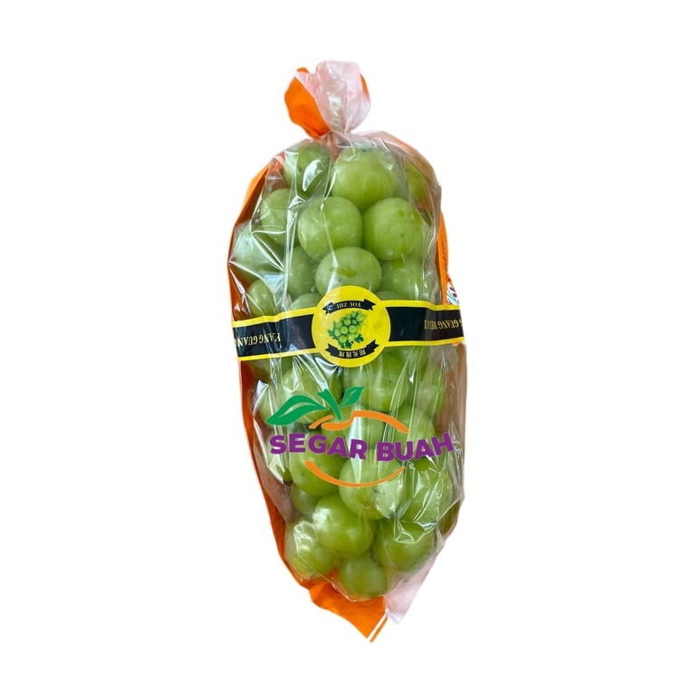 

Anggur Hijau Shine Muscat Seedless Tanpa Biji Ikat Gift 500gr / 1000gr