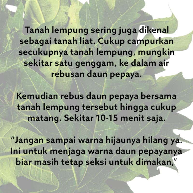 Ampo Tanah Liat / Lempung