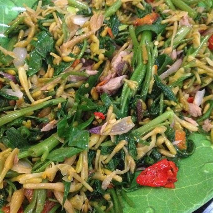 

Jangan Ragu Order tumis kangkung kembang pepaya#