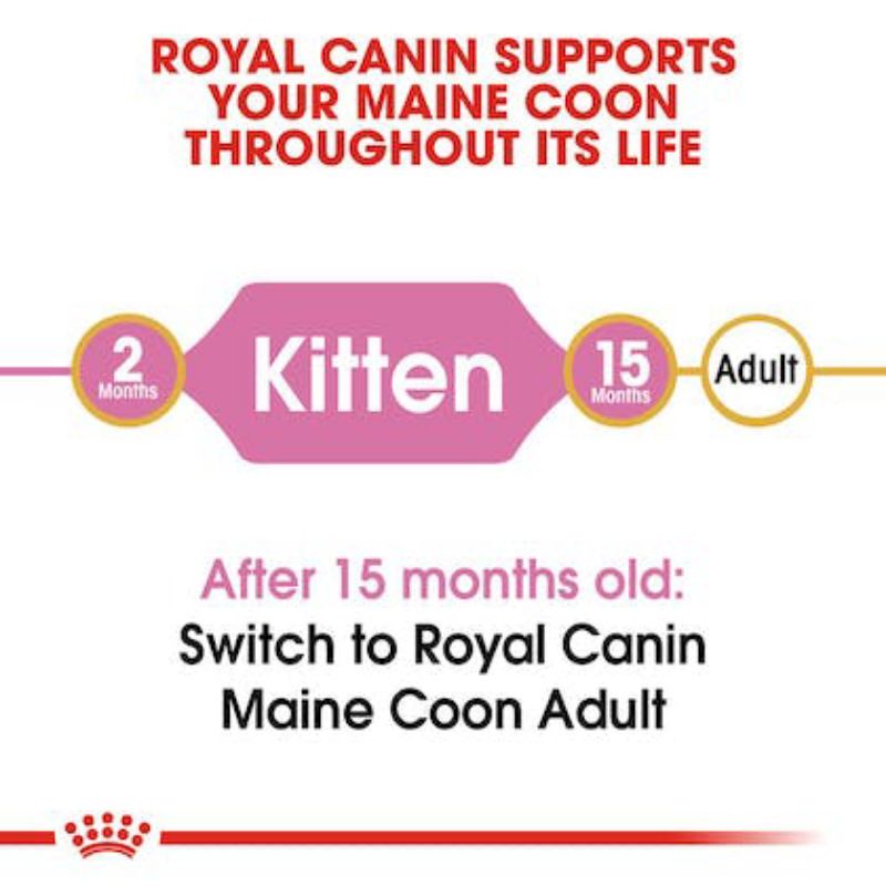 Royal Canin Maine Coon Kitten 4kg / Royal Canin Kitten Mainecoon