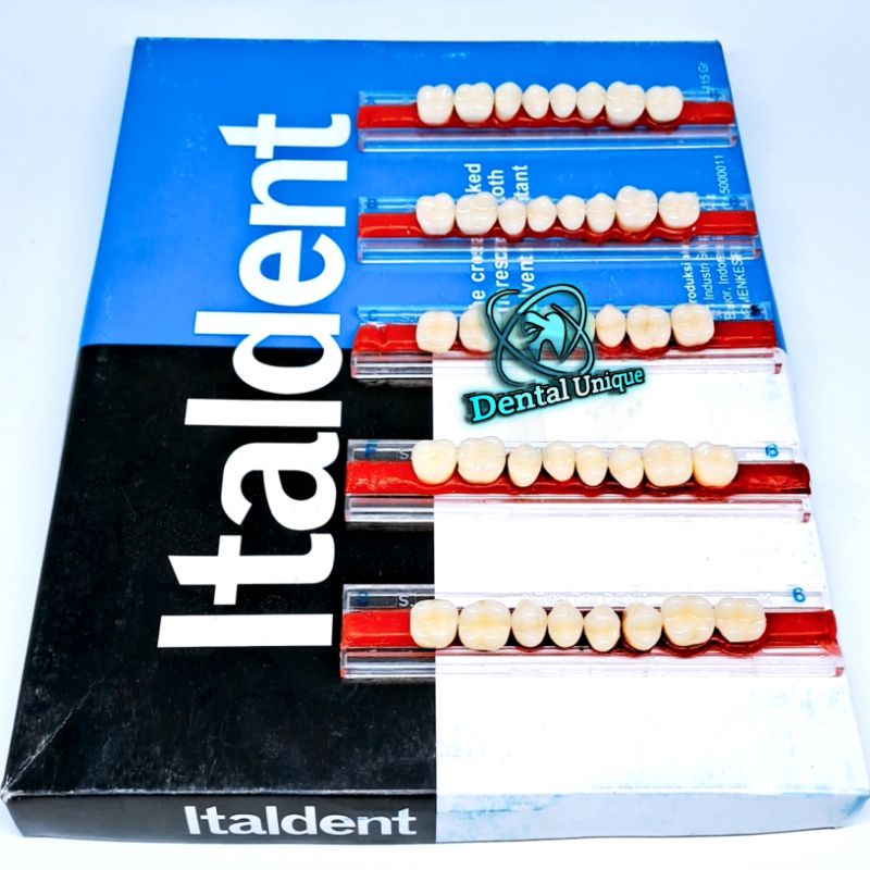 Gigi Palsu Italden Geraham Atas