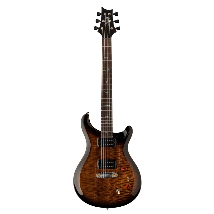 PRS SE Paul's Guitar