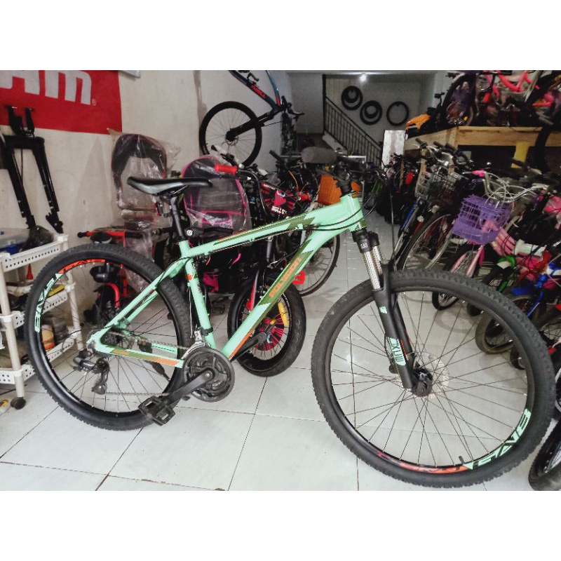 Polygon cascade 4 2021 mulusss