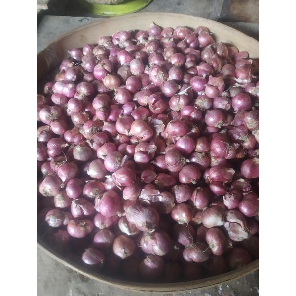 

Bawang Merah Ukuran sedang