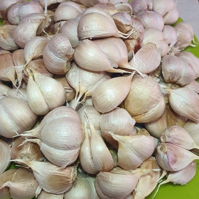 

CODEUu1U5--BAWANG PUTIH KATING 1KG